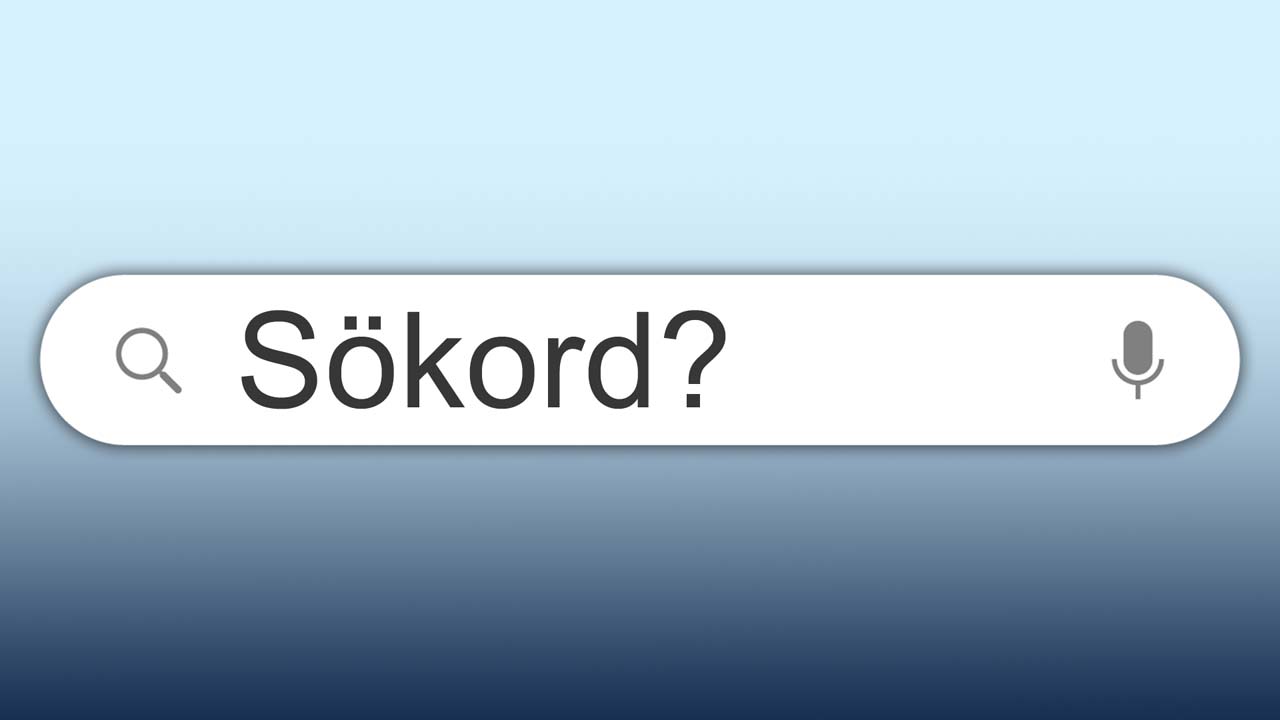 Grejen med sökord