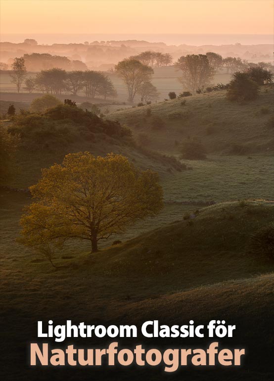 Lightroom Classic för naturfotografer