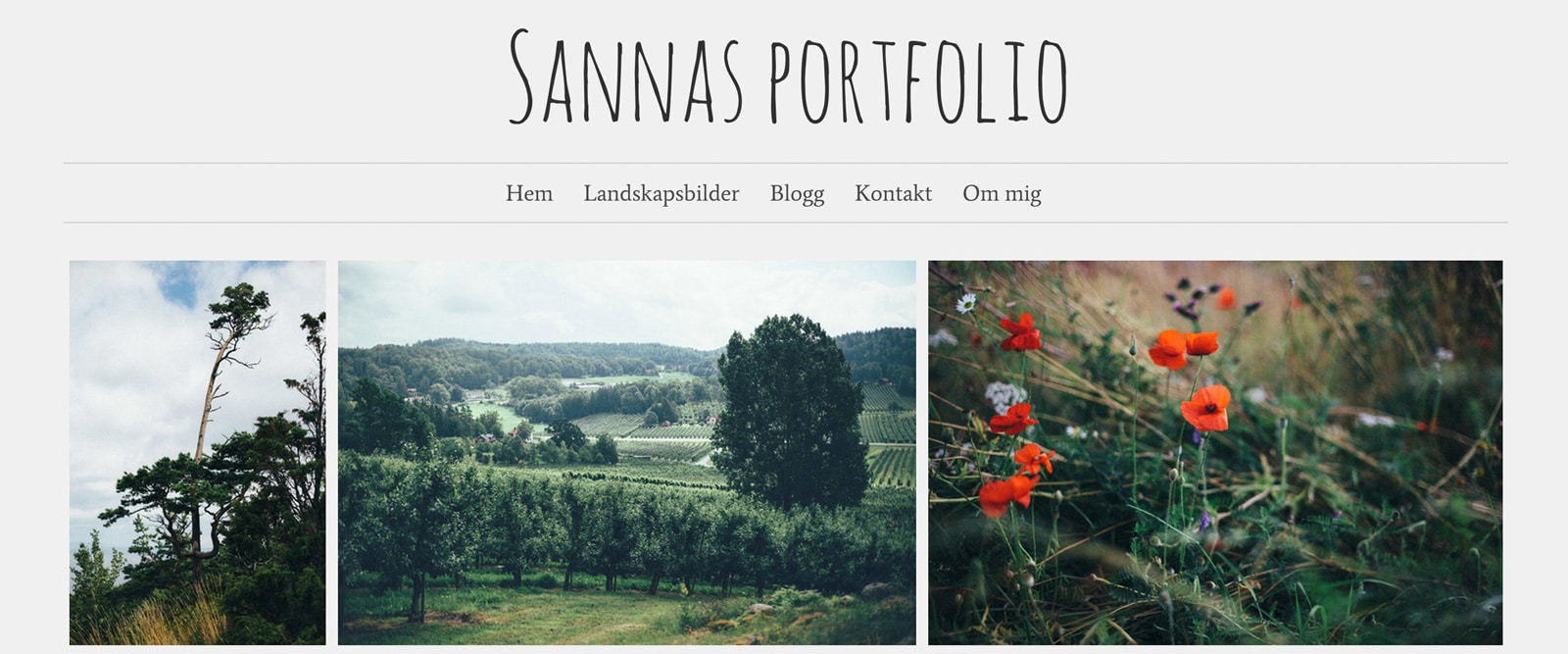 Omslagsbild för kursen Skapa onlineportfolio med Portfoliobox
