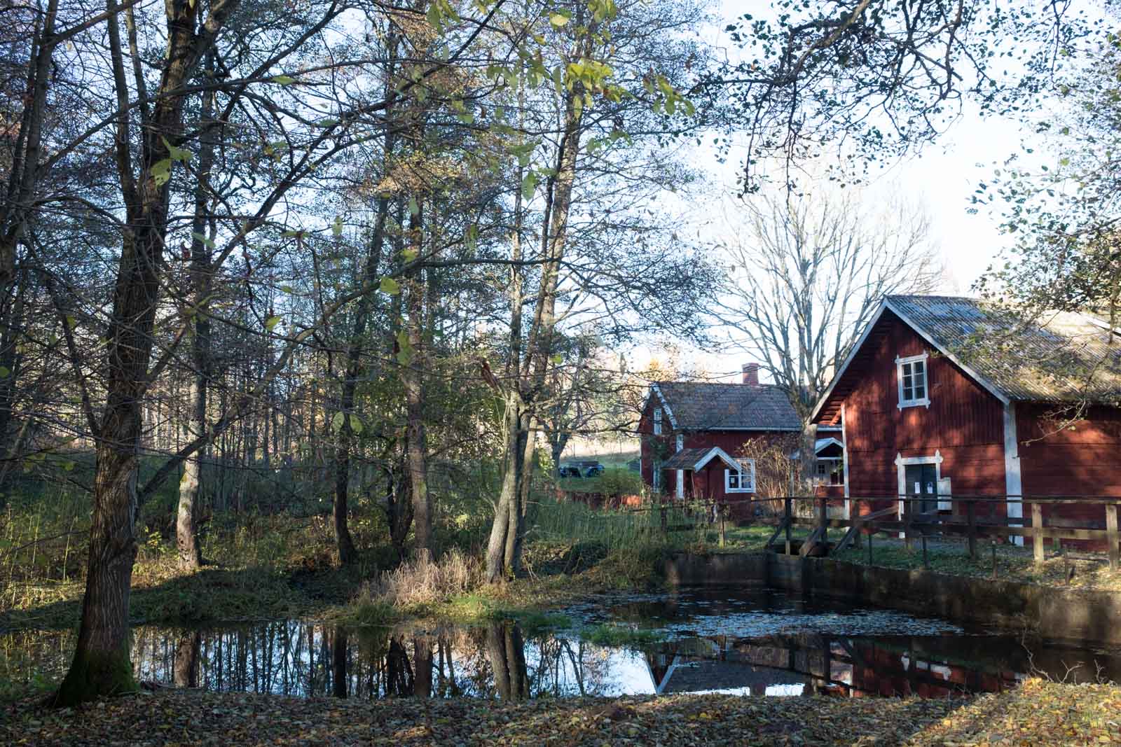 Natur och stuga utan förinställning.