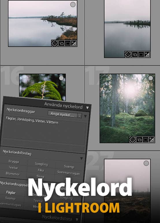 Nyckelord i Lightroom Classic