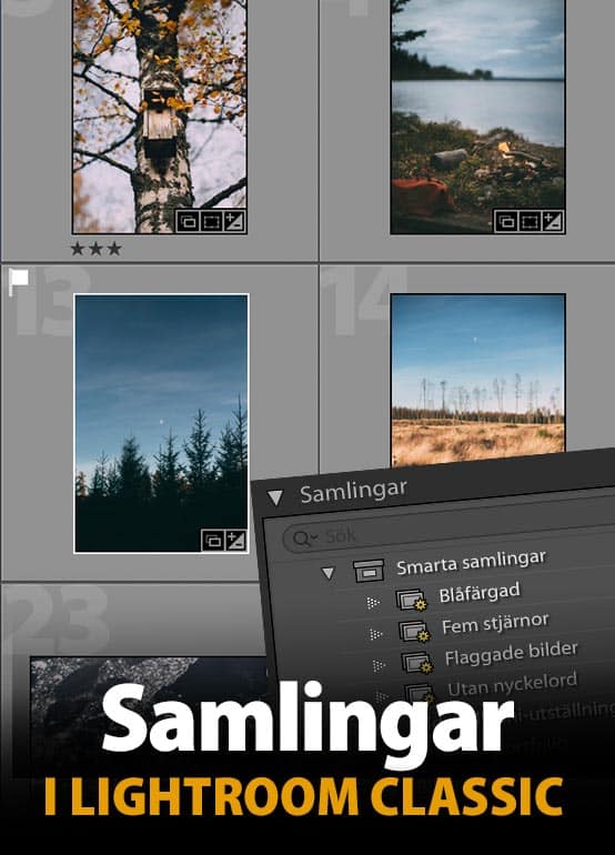 Samlingar i Lightroom Classic