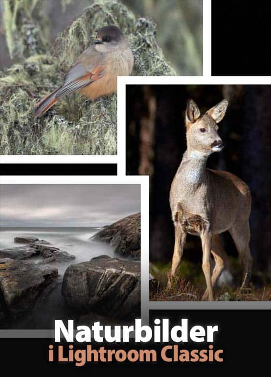 Naturbilder i Lightroom Classic
