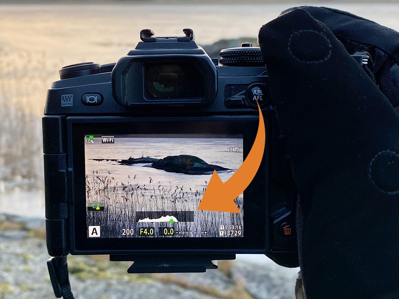 Live-histogram på systemkamera