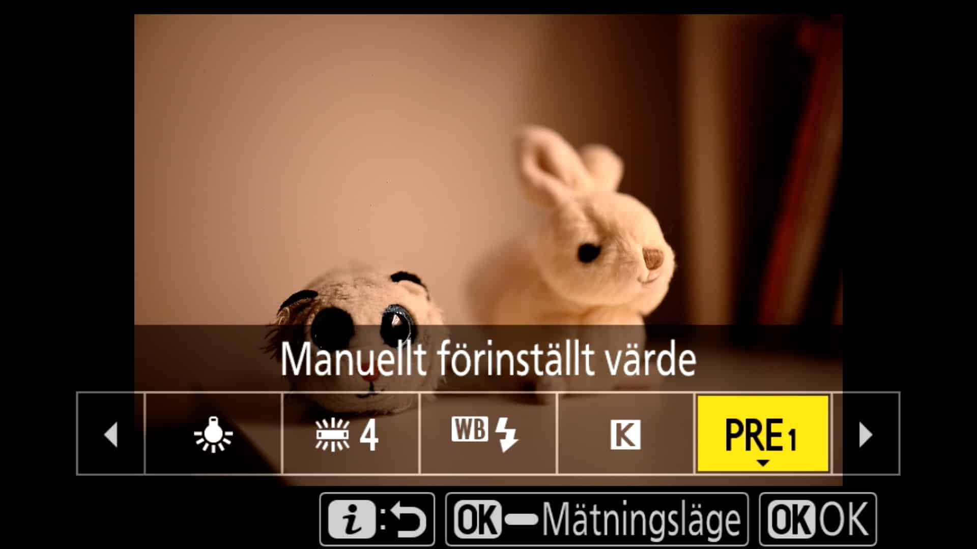 Egen vitbalans