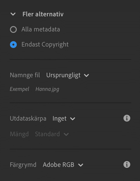 Exportera bilder för tryck med Lightroom, inställningar, fler alternativ.