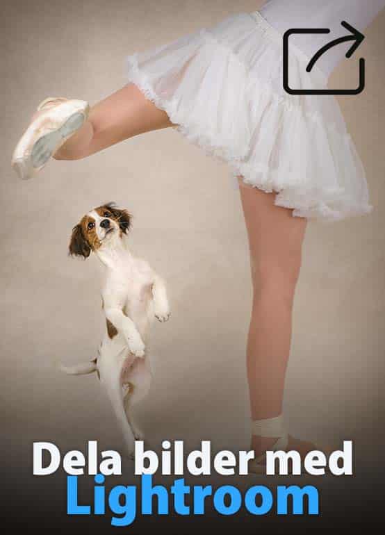 Dela bilder med Lightroom