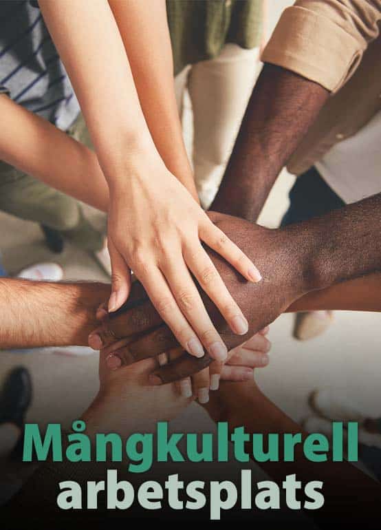 Mångkulturell arbetsplats