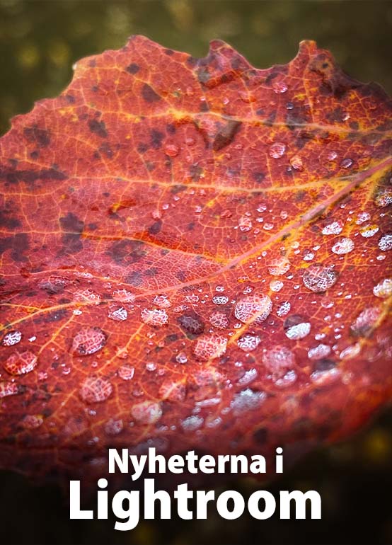 Nyheterna i Lightroom