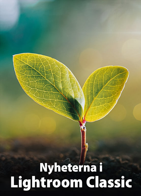 Nyheterna i Lightroom Classic