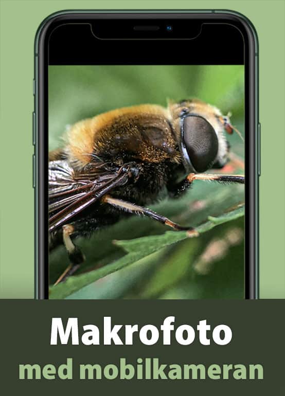Makrofoto med mobilkameran