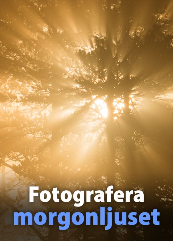 Fotografera morgonljuset