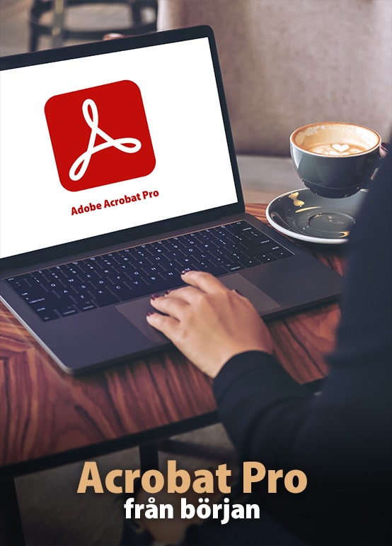 Acrobat Pro från början