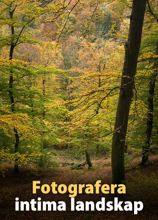 Fotografera intima landskap