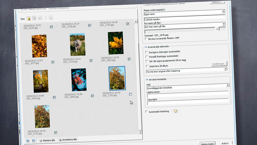 Gratis Animerade Bilder Till Mobilen